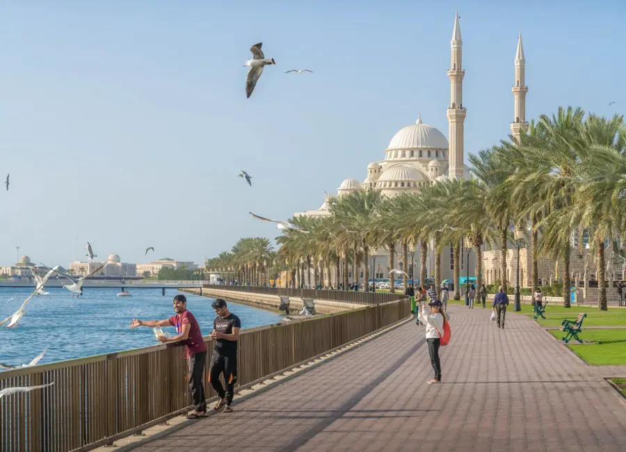 Company Formation in Sharjah