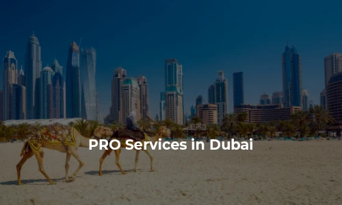 How PRO Services in Dubai, UAE Help You Speed Up Company Formation 2025